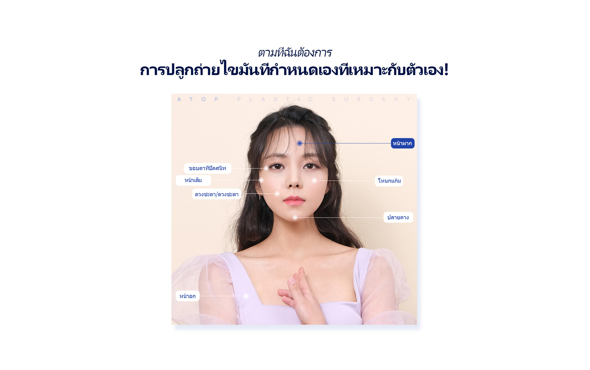 포인트지방이식