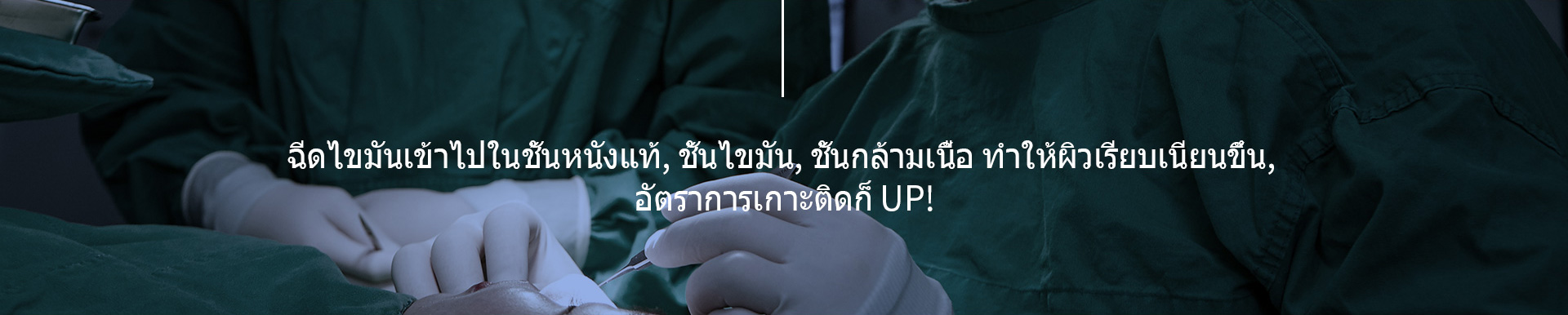 포인트지방이식