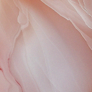 미백 / 기미 / 색소